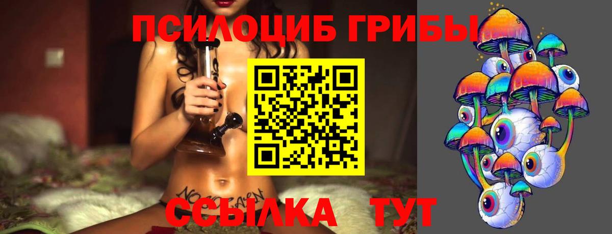Камышлов  Галлюциногенные грибы Psilocybine cubensis  Вход с VPN  Псилоцибиновые грибы MAGIC MUSHROOMS 