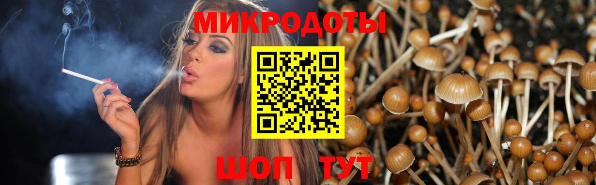 Галлюциногенные грибы мухоморы Камышлов