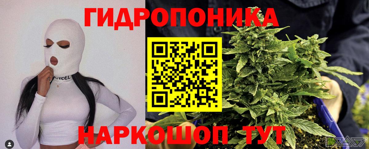 МАРИХУАНА планчик  Вход с VPN  Бошки марихуана White Widow  Камышлов 